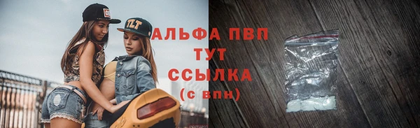 винт Няндома