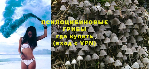 прущая мука Остров