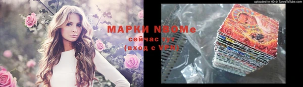 винт Няндома