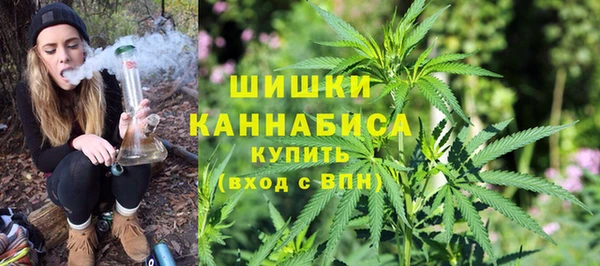 винт Няндома