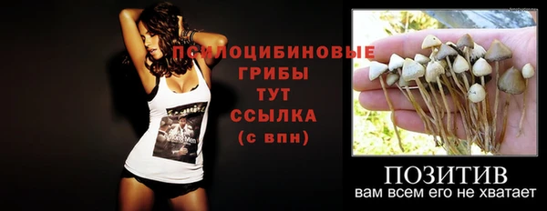 винт Няндома