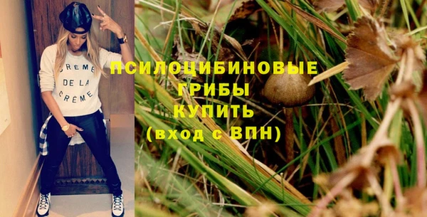 прущая мука Остров