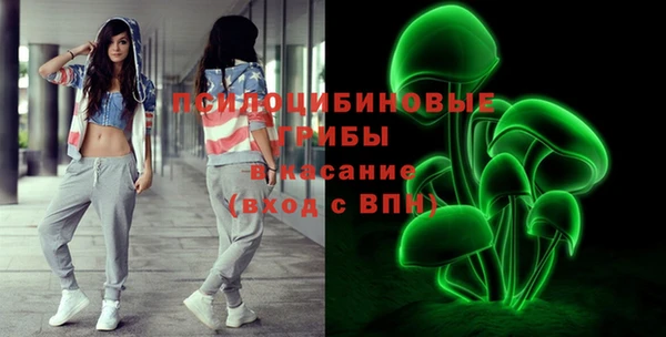 винт Няндома