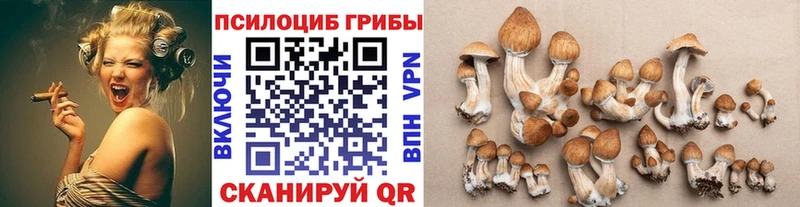 Псилоцибиновые грибы Psilocybine cubensis  Козьмодемьянск 