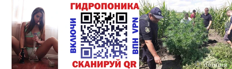 Конопля индика  Козьмодемьянск 